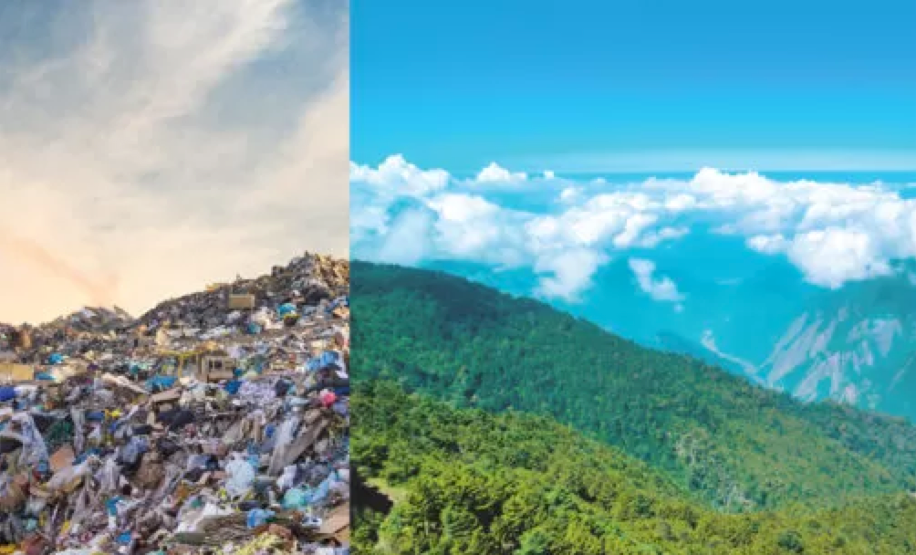 Eco-Friendly Entertaining: Hosting Sustainable Parties and Gatherings