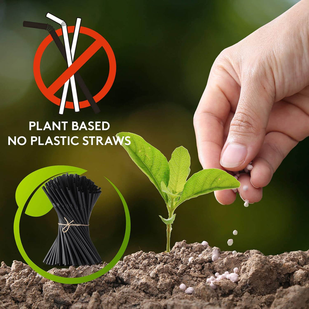 plant based straws 